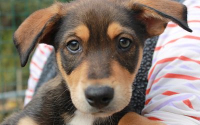 Darren – Reservado