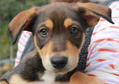 Darren – Reservado