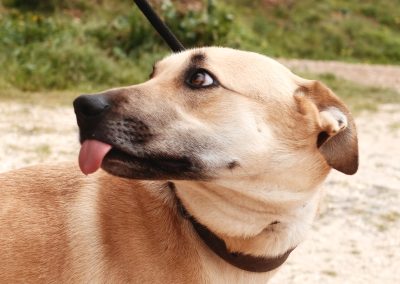 Cristal – Reserviert