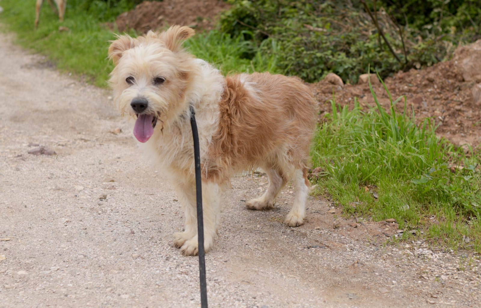 WhatsApp Image 2026-02-22 at 15.18.52 (1) Messi6