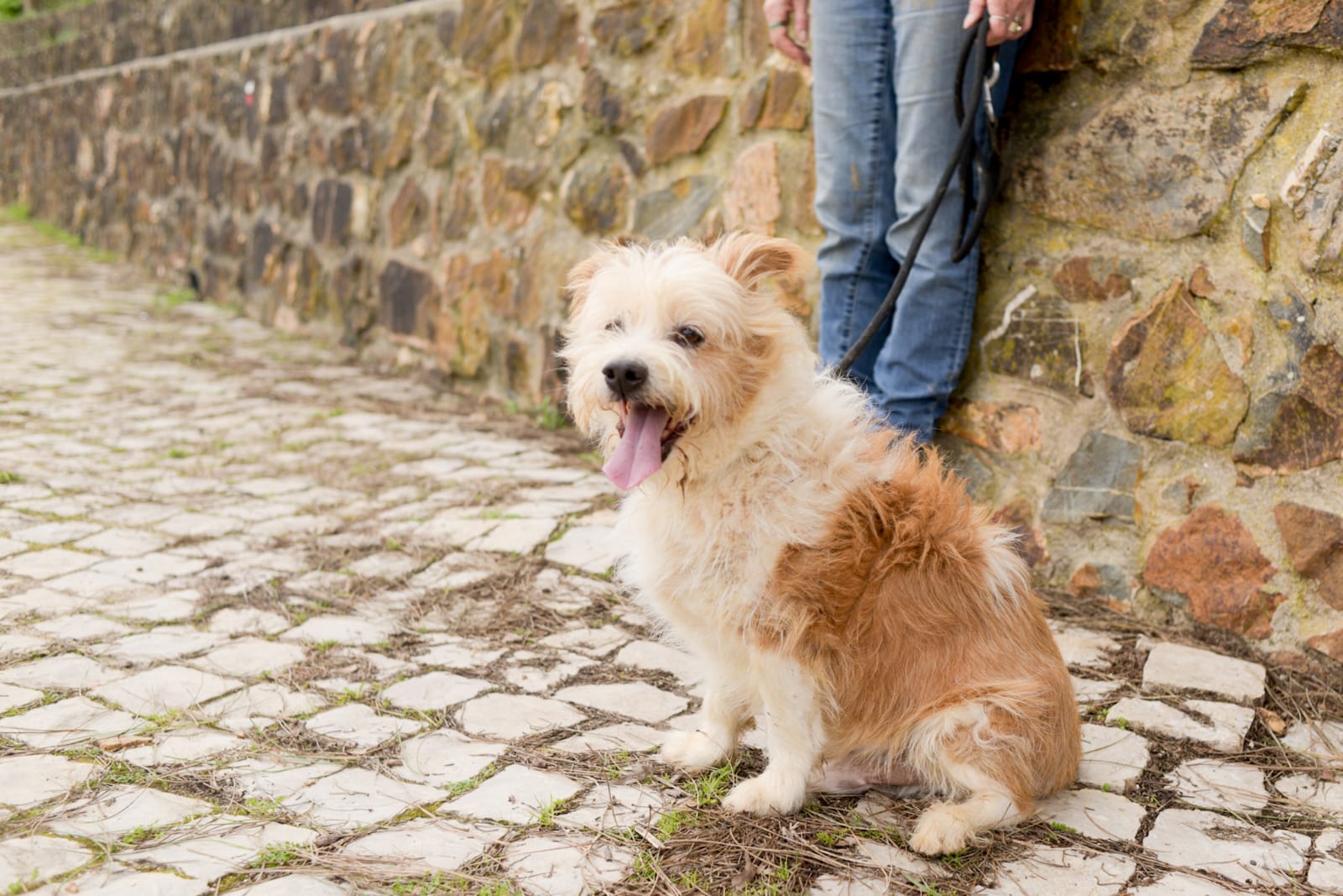 WhatsApp Image 2026-02-22 at 15.18.52 (2) Messi5