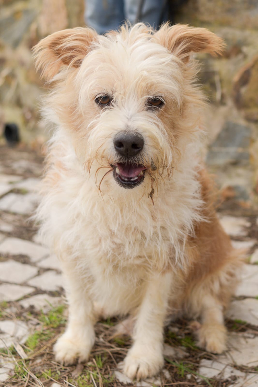 WhatsApp Image 2026-02-22 at 15.18.52 Messi4