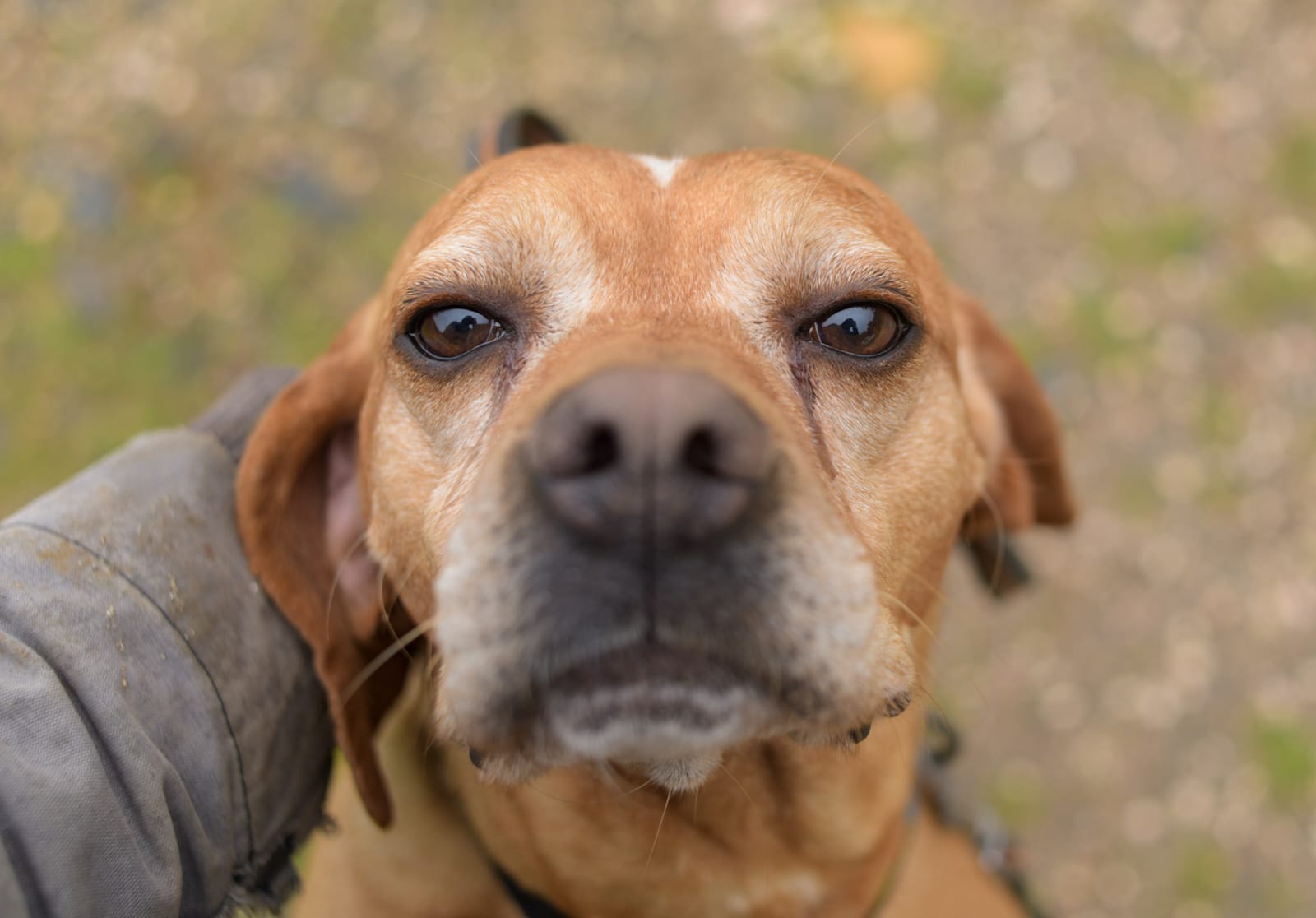 WhatsApp Image 2026-03-04 at 21.29.14 (1) Muira4